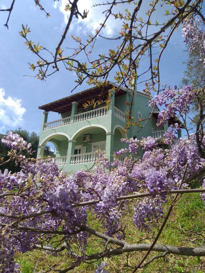 Green Hill House Agios Georgios Pagon Exterior foto